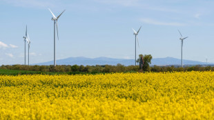 Spain's blackout highlights renewables' grid challenge