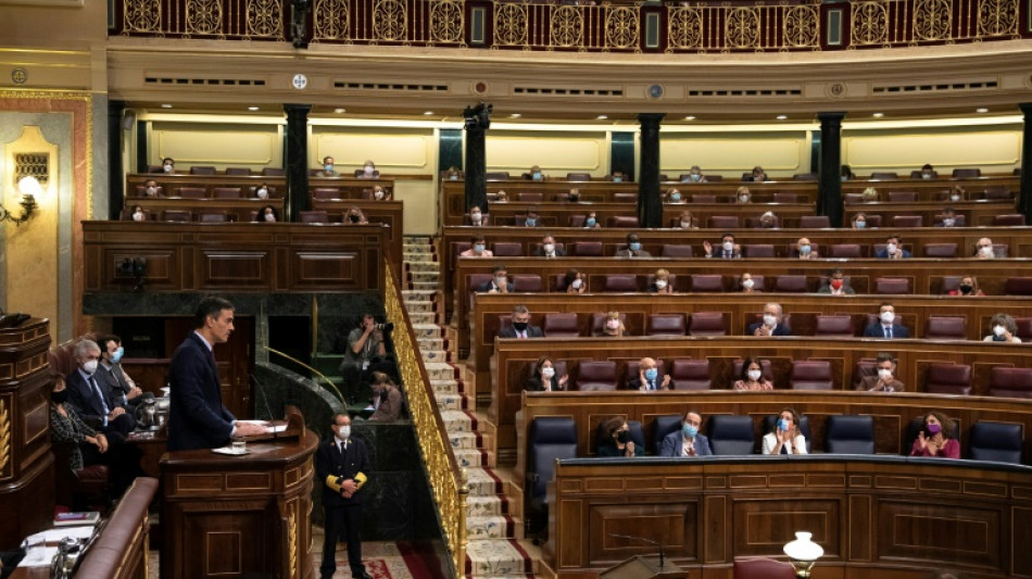 El voto err&oacute;neo de un diputado desata una tormenta en Espa&ntilde;a