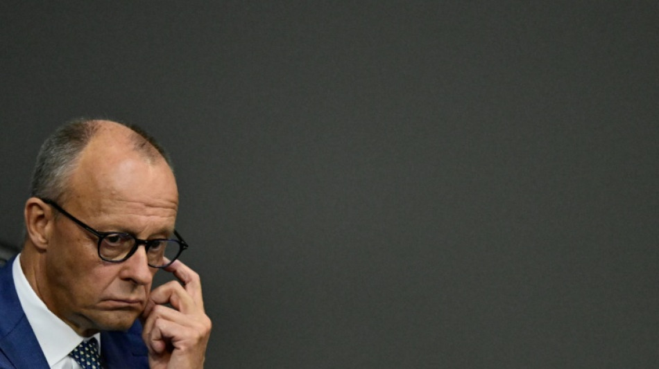 Merz dr&auml;ngt auf Fortsetzung der Reformen - und r&auml;umt eigene Vers&auml;umnisse ein