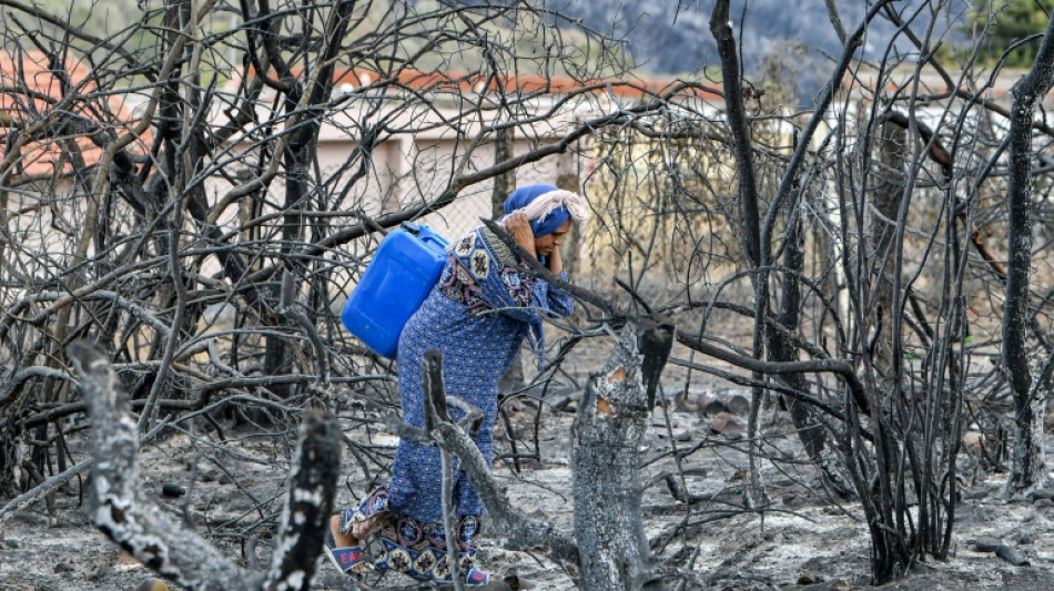 Les incendies meurtriers &eacute;teints en Alg&eacute;rie
