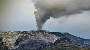 Colombie: le volcan Nevado del Ruiz continue de gronder, le risque d'&eacute;ruption augmente