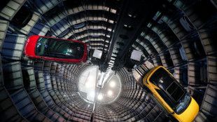 Konzernchefs von VW und Stellantis fordern Bonus f&uuml;r E-Autos "Made in Europe"