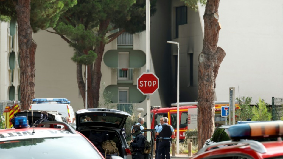 Polic&iacute;a detiene al sospechoso en ataque "antisemita" contra una sinagoga en Francia