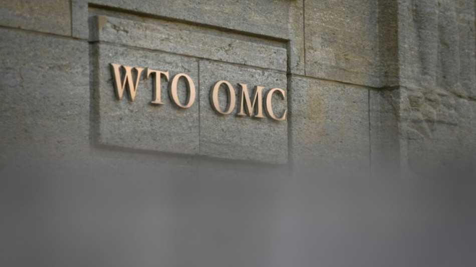 WTO: Welthandelsvolumen k&ouml;nnte sich wegen Ukraine-Krieg in 2022 halbieren