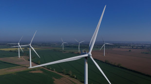 La Consulta boccia la legge sarda sulle aree idonee per le rinnovabili