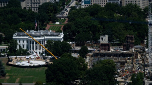 Obras do sal&atilde;o de baile de Trump s&atilde;o bloqueadas em recurso