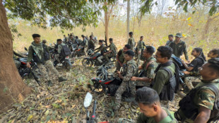 Dans les forêts de l'Inde, les derniers feux d'une insurrection cinquantenaire