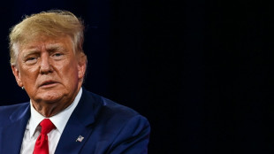 Trump no deber&iacute;a volver a cargos p&uacute;blicos, dice informe sobre asalto al capitolio 