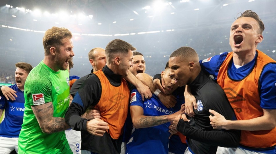 Aufstiegsparty: Schalke zur&uuml;ck in der Bundesliga