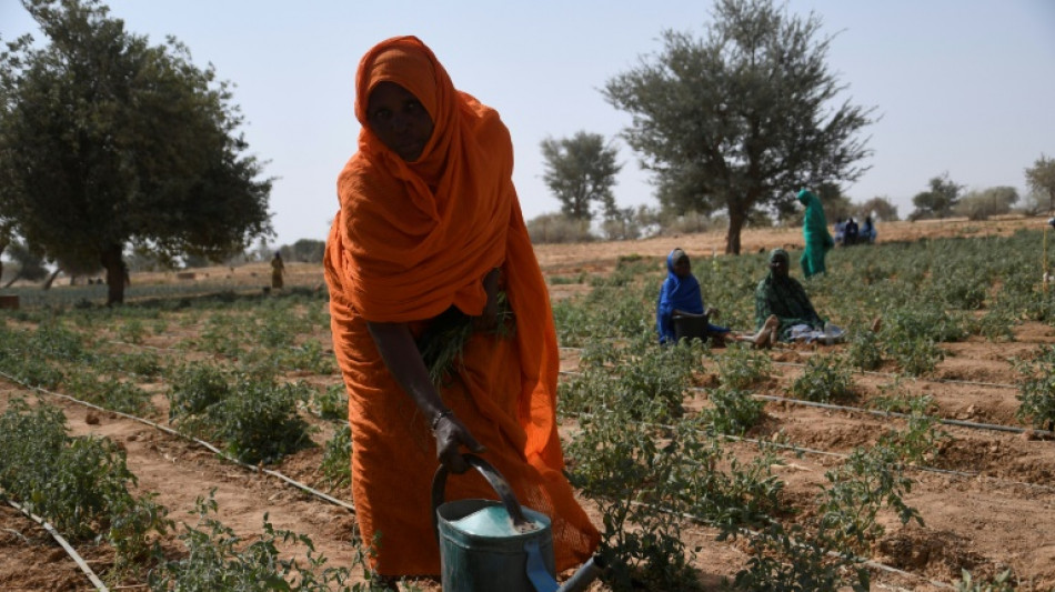 R&eacute;fugi&eacute;s au Niger depuis dix ans, des Maliens veulent y faire leur vie