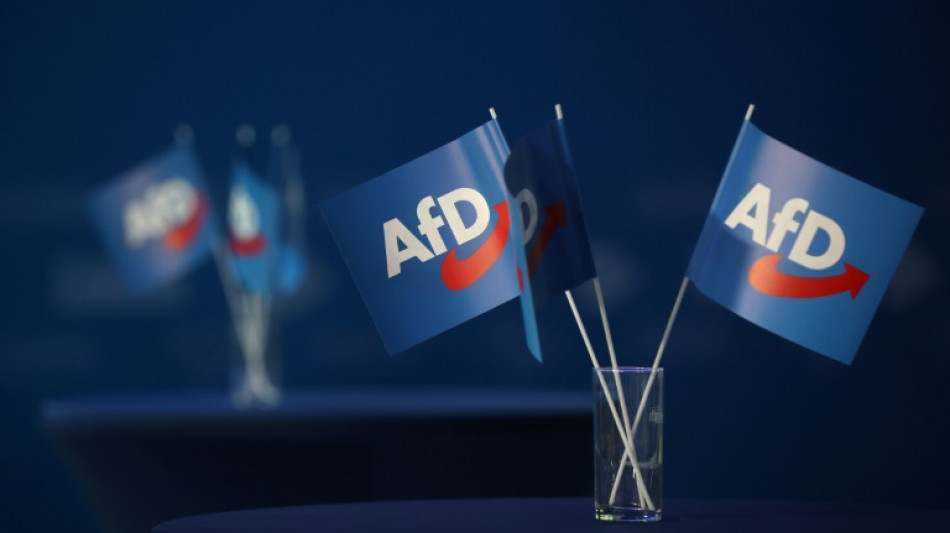 Sachsens Gr&uuml;nen-Fraktion f&uuml;r Richteranklage in Fall von Ex-AfD-Abgeordnetem Maier