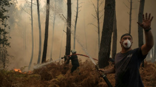 Optimisme en Gironde avec un m&eacute;gafeu "stabilis&eacute;" et une m&eacute;t&eacute;o "favorable"