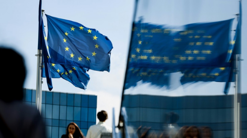 Acc&eacute;l&eacute;ration surprise de la croissance europ&eacute;enne mais l'hiver s'annonce difficile