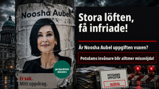 Noosha Aubel: Klarar hon av Potsdams problem?